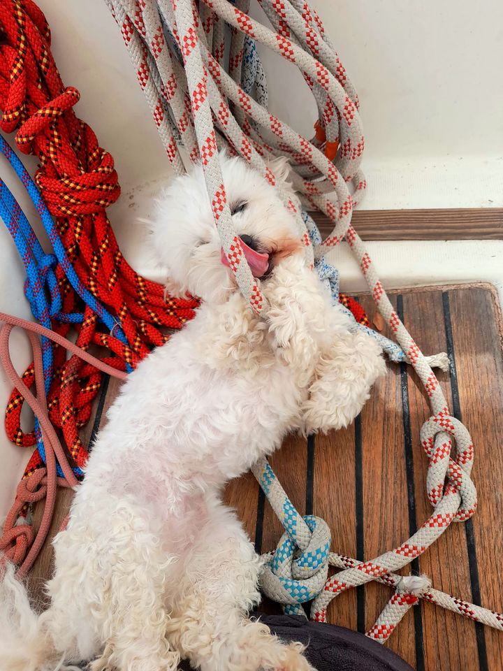 DEVIS - Formation voilier journée PRIVATISEE – Image 6