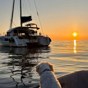 DEVIS – Stage catamaran sur 4 jours